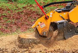 Best Stump Grinding and Removal  in Otsego, MI